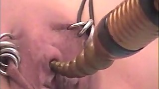 Submissive Wife Clit Whipping Free Amateur Porn Video abuserporn.com